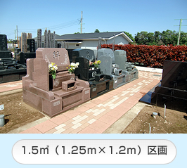 �����쉀�F1.5�u���